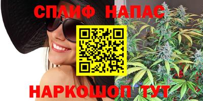 сатива Абакан